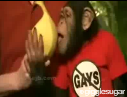 Hot Dogs for Homophobes!
